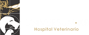 logo universum